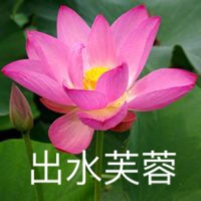 魔之精灵官方